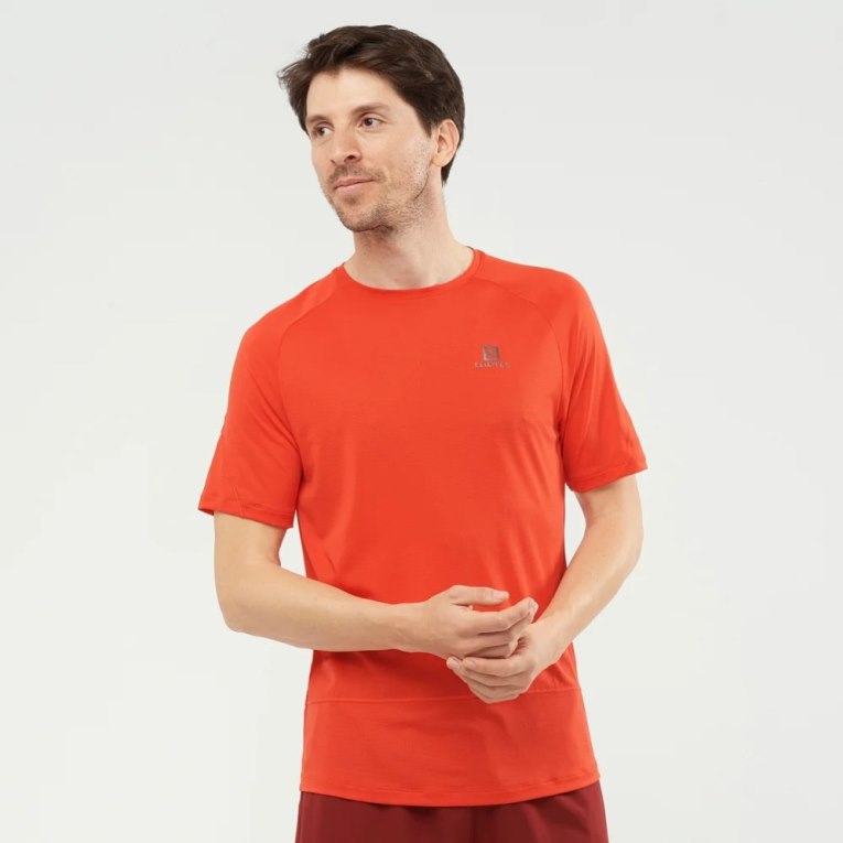 Camiseta Salomon Cross Run Corta Sleeve Hombre Naranjas | MX FOWX481